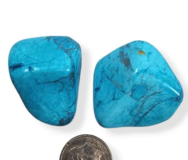 Howlite Blue Polished Stones 36.7 grams 2 Piece Lot