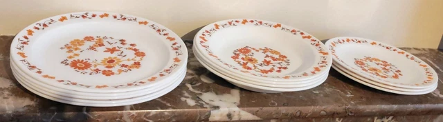 Lot de 6 assiettes Arcopal esprit village - Arts de la table