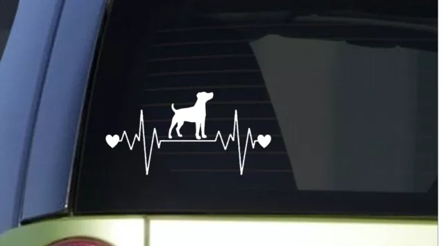 Jack Russell Terrier heartbeat lifeline *I225* 8" wide Sticker decal jrt parson