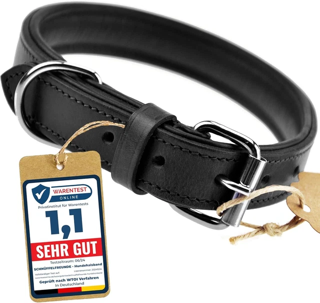 Lederhalsband Rainbow Für Hunde – Extra Breit, In M, L, XL, Mit Bunter Zierkette