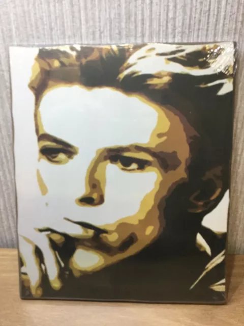 Boyz Toys  Pop Art 30 X 25 Music Film Retro Wooden Picture NEW David Bowie