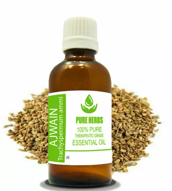 Ajwain 100% Naturel non Dilué 10 ML Trachyspermum Ammi Huile Essentielle