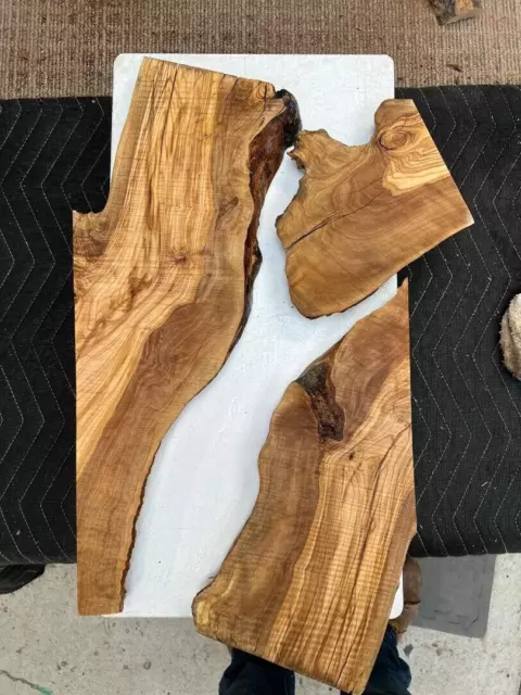 #379 Bundle OLIVE wood burl slabs for resin tray etc 200 yr old Rawcut