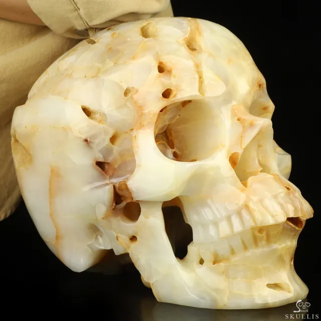 33.3LB Titan 11.9" Afghanistan Jade Hand Carved Crystal Skull, Crystal Healing