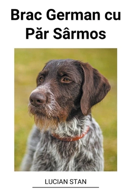 Brac German cu P&#259;r Srmos by Lucian Stan Paperback Book