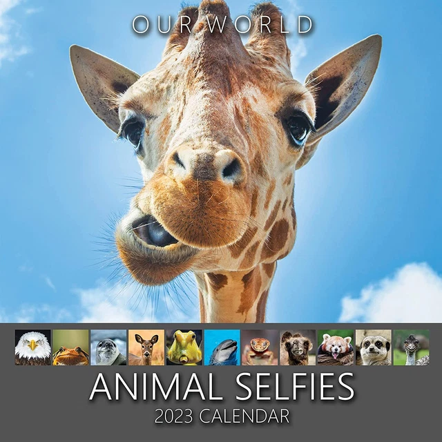 OUR WORLD ANIMAL Selfies Wall Calendar 2023 Funny Family Planner 