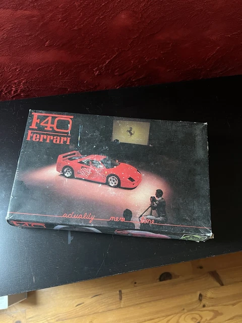 Maquette PROTAR 1/24 – Ferrari 250 GTO Le Mans 1962, Décalques Abîmés