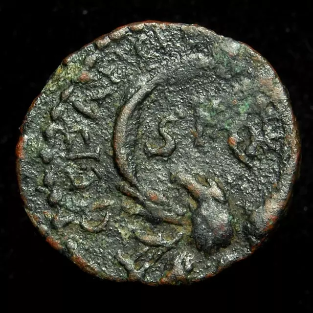 Severus Alexander AE21 Caesarea Maritima Samaria Judaea, 222-235AD