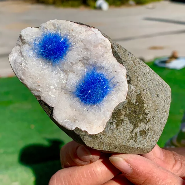 326G Rare Moroccan blue magnesite and quartz crystal coexisting specimen