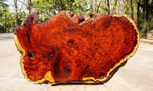 Red AMBOYNA BURL LUMBER Live Edge Natural Slab Wood Resin Epoxy DIY Table Top