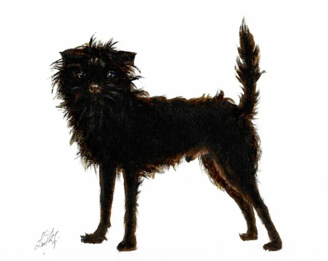 @ Original Oil Portrait Painting AFFENPINSCHER Artist Signed Artwork Black Dog