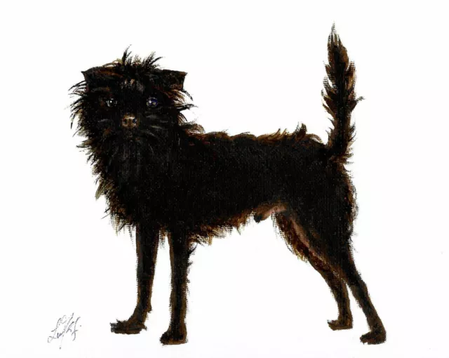 @ Original Oil Portrait Painting AFFENPINSCHER Artist Signed Artwork Black Dog @ Original Oil Portrait Painting AFFENPINSCHER Artist Signed Artwork Black Dog