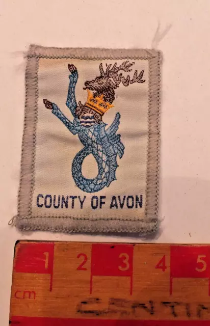 Vintage Boy Scouts County Of Avon District County Area Badge (Y)