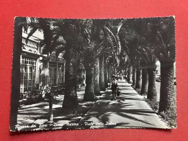 Cartolina - Riviera dei Fiori - Diano Marina - Viale delle Palme - 1960 ca.