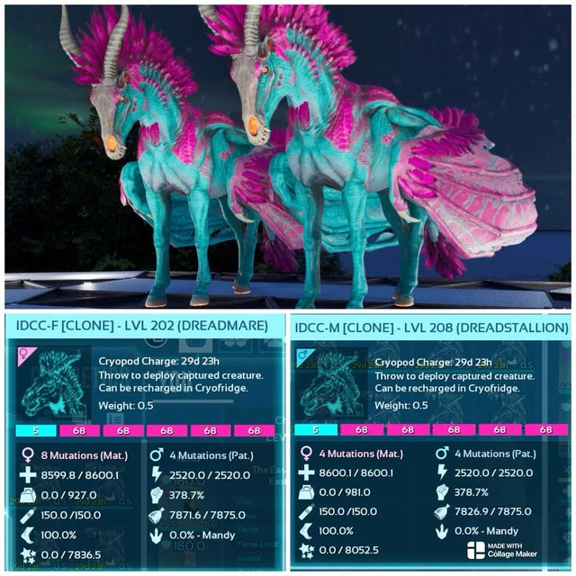Ark Survival Ascended Coppia di Armadoggos Ufficiali PVE SOLID 19! XBOX