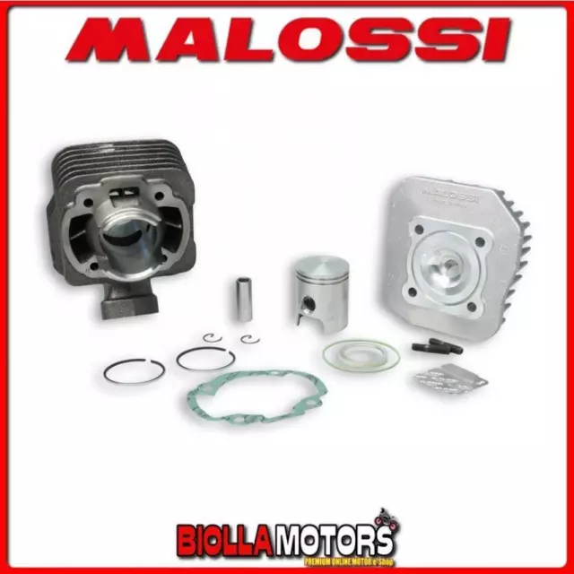 318573 Malossi 50Cc D.40 Peugeot Elyseo 50 2T Cylinder Cast Iron Sp.12