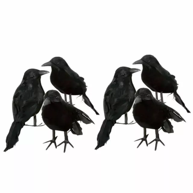 6er-Set Schwarz Taubenschreck Krähe Rabe Taubenabwehr Vogelschreck Lockvogel