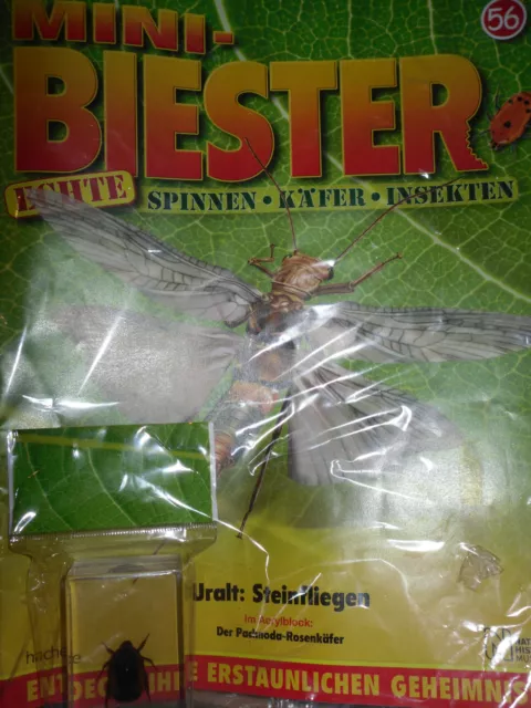 Mini-Biester/Echte Spinnen-Käfer-Insekten/Ausgabe 56/Hachette /Rosenkäfer