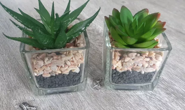 2 x Small Artificial Succulents Cacti In Glass Pots 3" New