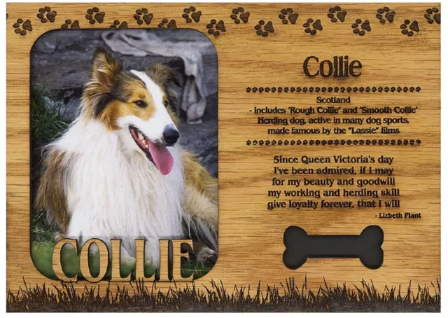 Collie Engraved Wood Picture Frame Magnet