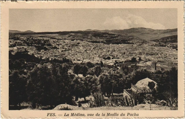 CPA AK MAROC FES La MEDINA vue de la Msalla du Pacha (10302)