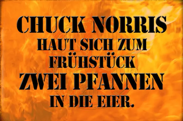 Blechschild mit Kordel, 20 x 30 cm, Chuck Norris, lustiger Spruch, Neu,OVP