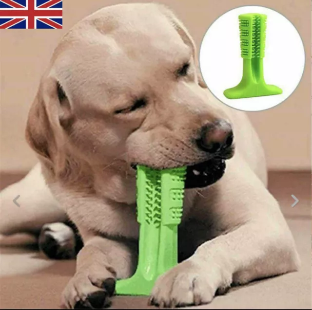 Dog Pet Toothbrush Toy Clean Teeth Brushing Stick Brush Mouth Chewing Clean UK