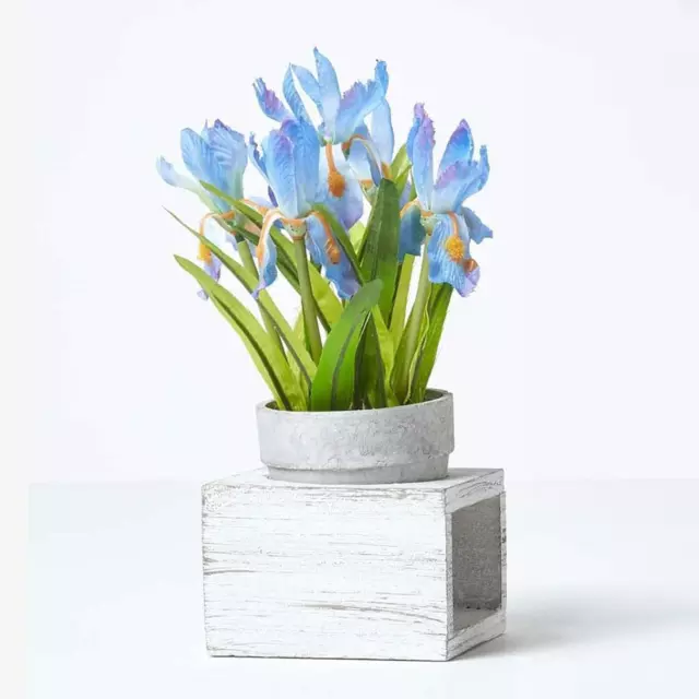 Artificial Potted Blue Iris Flowers in Vintage Rustic White Wooden Pots