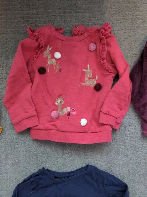 bundle baby girls 18-24 months clothes top umper PJ's dress 4