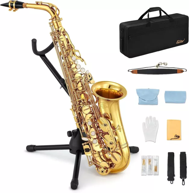 Eastar SAX Alto Saxophone E Flat F Key Saxaphone + Case Mouthpiece School Band