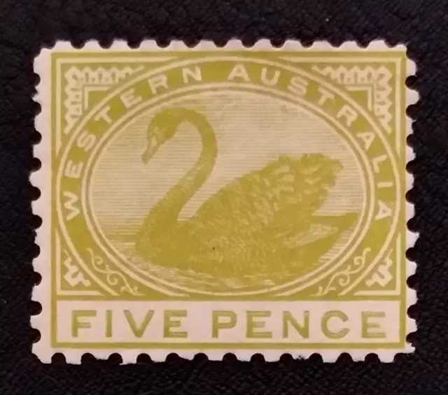 SG155 - 1905 Western Australia Pale olive-bistre Five Pence Stamp MH - 620
