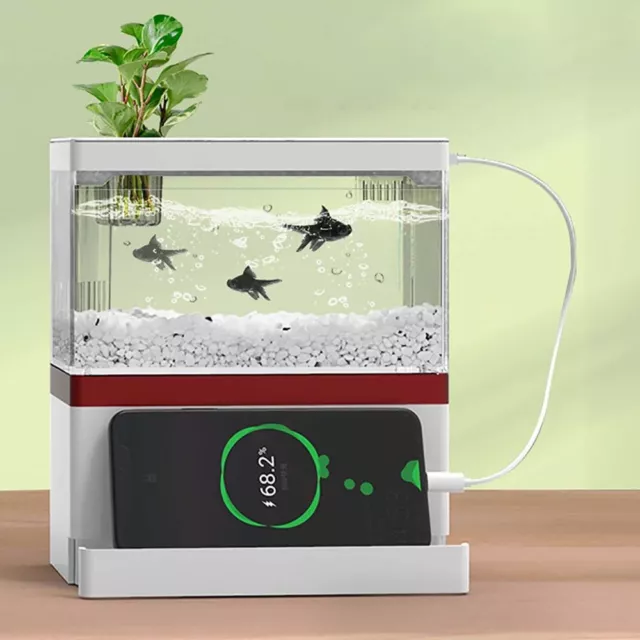 Mini Fish Tank with Filter LED Aquarium Tropical Freshwater Phone Holder Desktop