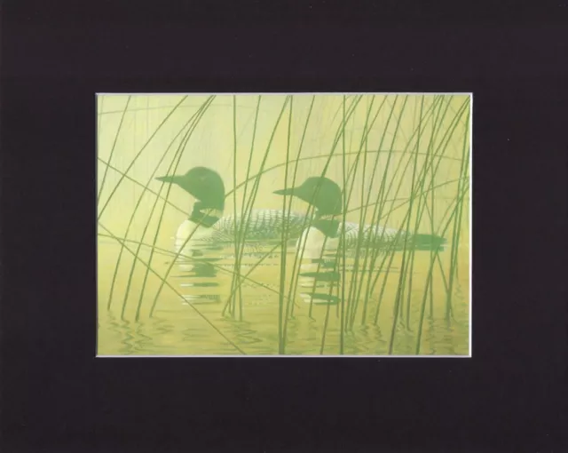8X10" Matted Print Art Painting Picture, Robert Bateman: Loom in Mist, 1980