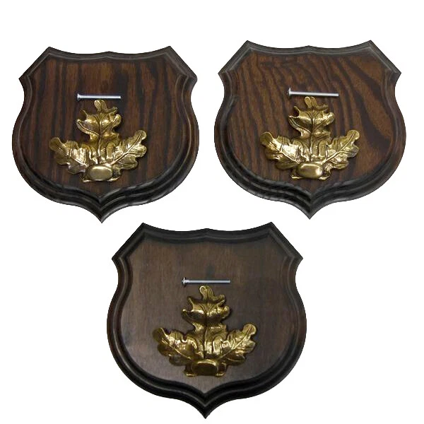 3x Wappenschilder Jabalí Af 15cm Escudo de Trofeo Hoja de Roble Portada Grande