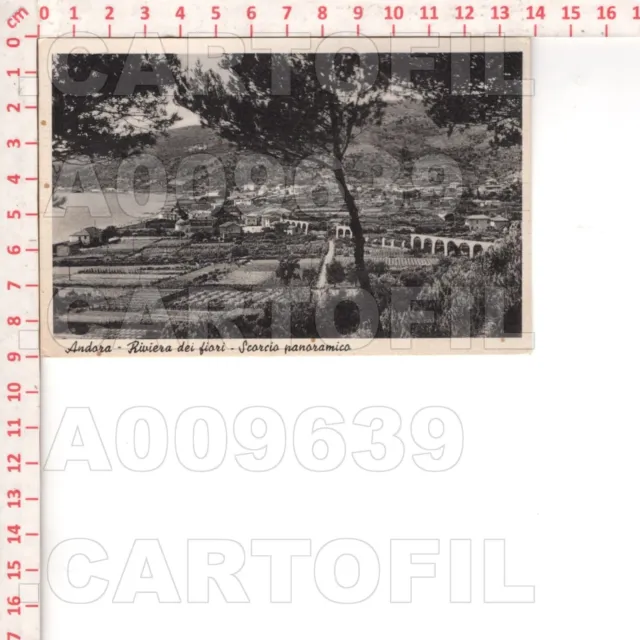 A9639 Savona 1951 Andora Panorama Editore Torrengo