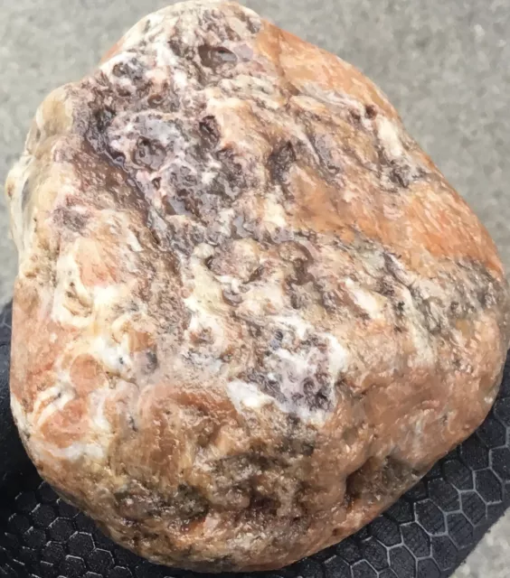 1 Pound 8 oz Lake Superior Agate Hurricane Sagenite Tube Nodule Lapidary Lsa