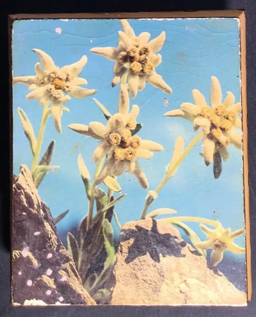 Boîte à Musique Vintage Métal – Mélodie Oiseaux, Décoration Commode Ou Table De Nuit (10x6x4 Cm)