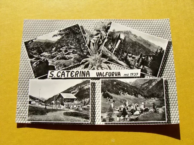 (FG.A99) SANTA CATERINA VALFURVA - VEDUTE VEDUTINE (vg 1967, ed. foto Rocca) S.