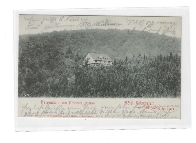 alte AK von 1902, KATZENSTEIN  bei Bad Sachsa im Harz, vom Mittelrück gesehen