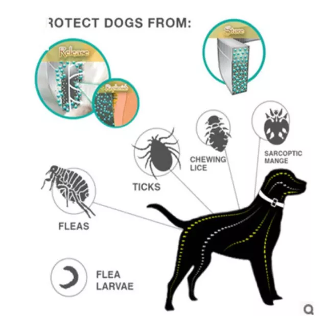 Anti-Insekten-Floh- und Zeckenhalsband-8-Monate-Schutz für Haustier Hund Katzen 3