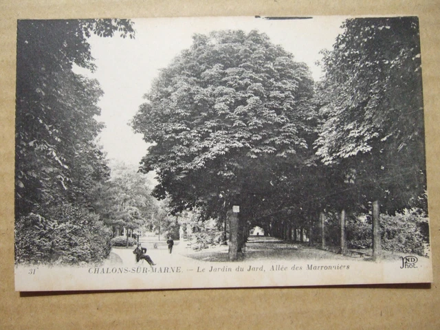 Cpa Chalons Sur Marne (51) Le Jardin Du Jard, Allee Des Marronniers