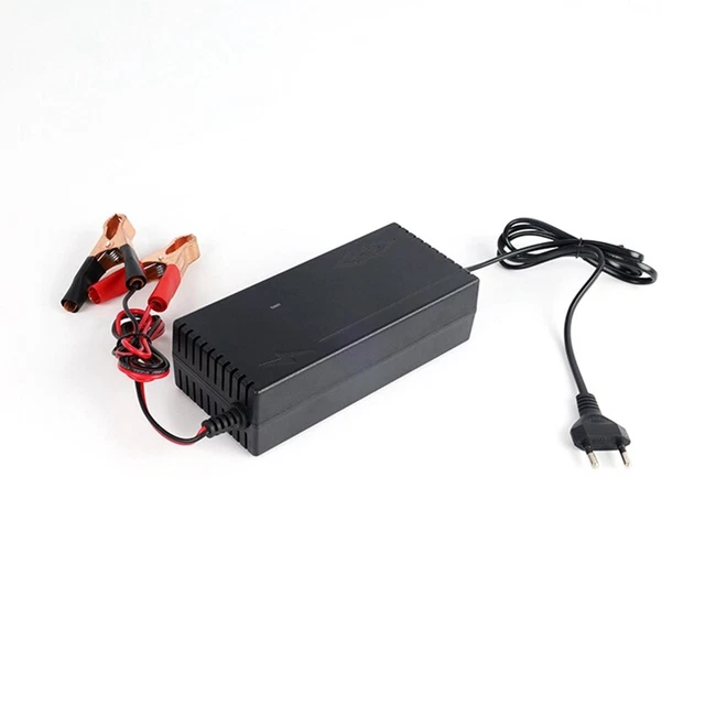 Caricabatterie fosfato ferro 14,6 V 10 A Lifepo4 per scooter 12,8 V 4S Auto-Sola W1X1