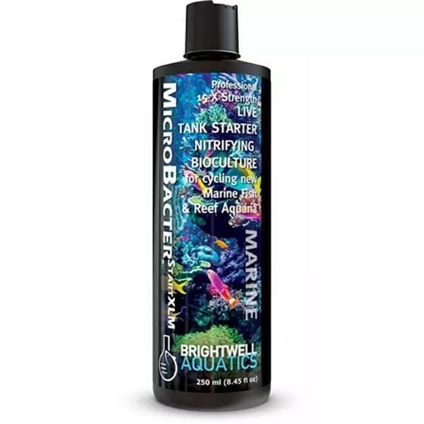 MicroBacter START XLM 15x (250 ML - 8 oz) - Brightwell