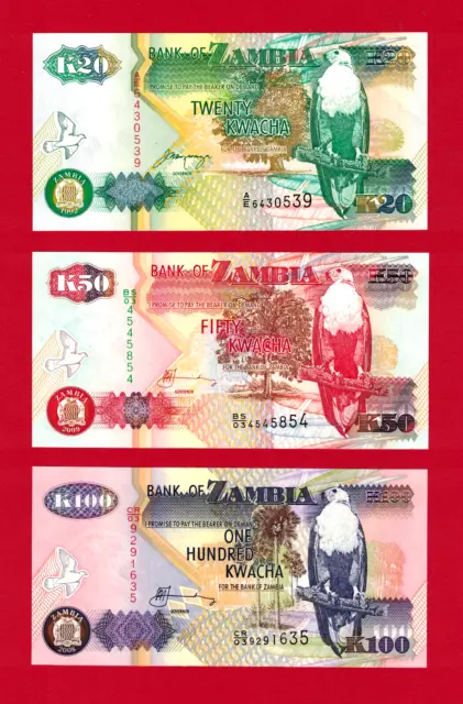 3 x Zambia UNC Banknotes 20 (P-36), 50 (P-37) & 100 Kwacha (P-38) Paper Currency