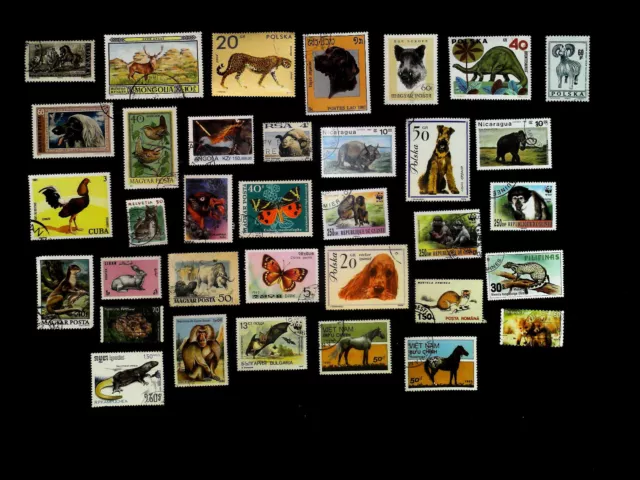 Lotto filat. 540 francobolli quasi tutti diversi con tematici come foto cod.5196 3