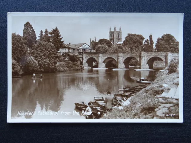 Hereford CATHEDRAL from the River showing PUNTS c1950s RP Postcard