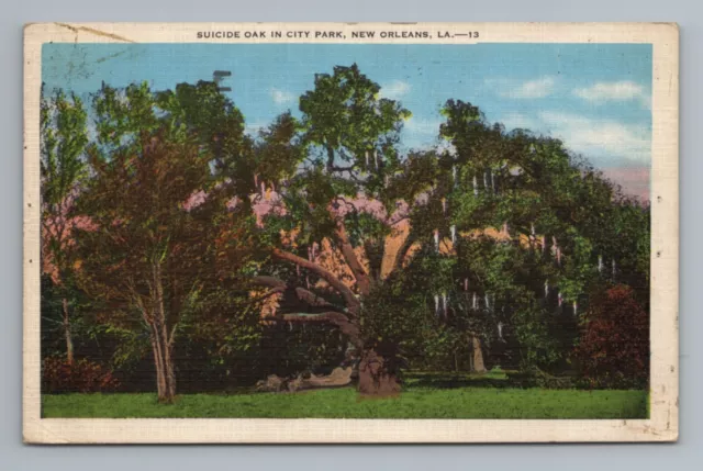 SUICIDE OAK CITY Park New Orleans Louisiana Vintage Unposted Linen ...