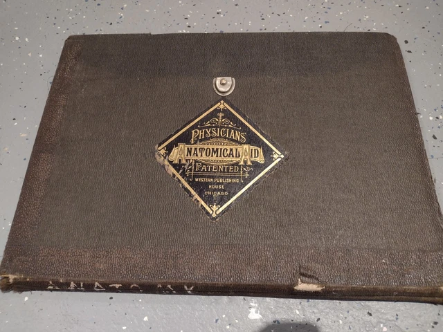 3d Physicians' Anatomical Aid by Knox & Graham foldouts, 1888
