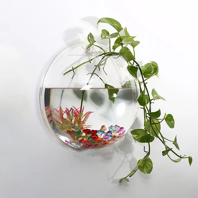Hanging Fish Bowl Solid Smooth Edge Household Wall Mounted Fish Vase Safe
