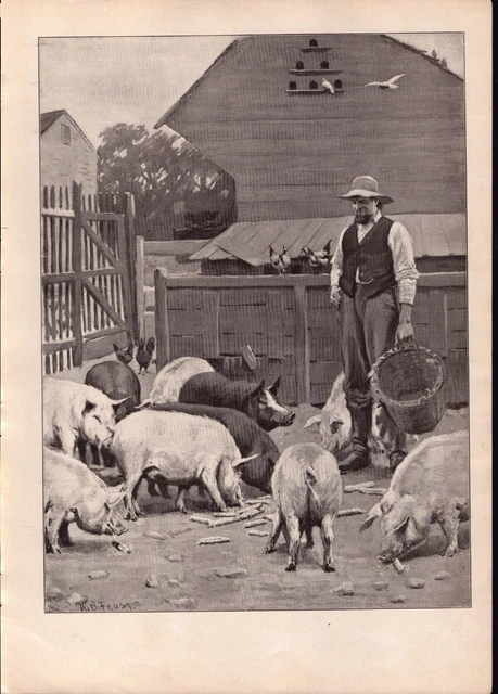 A. B. Frost "Pigs" Farmer Livestock Chickens Birds Farm Original Print 1904